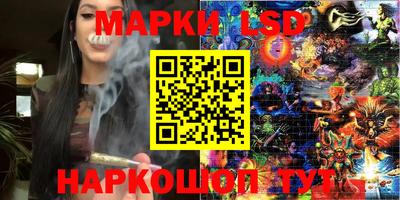 крисы Дубна