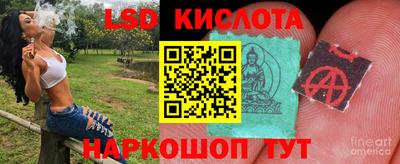 крисы Дубна