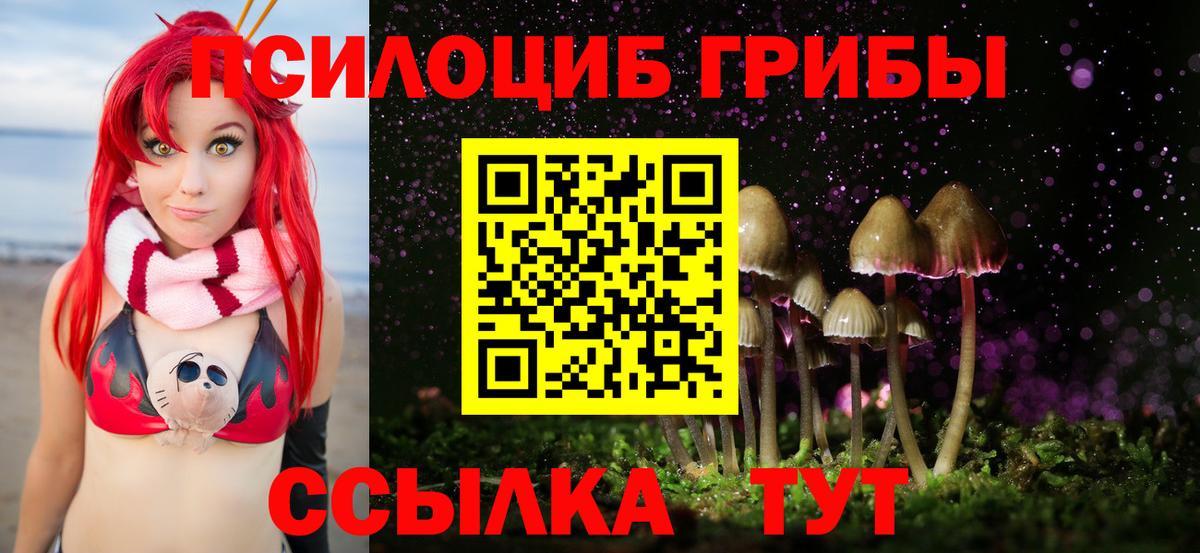 Галлюциногенные грибы мухоморы  Вход с VPN  Назрань  Галлюциногенные грибы прущие грибы 