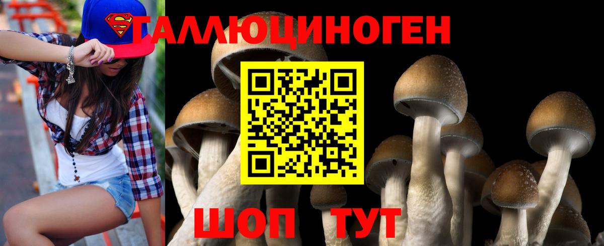 Галлюциногенные грибы Psilocybine cubensis Назрань