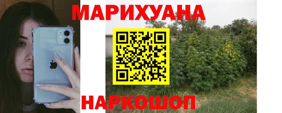 Шишки марихуана White Widow  Бошки марихуана план  Вход с VPN  Назрань 